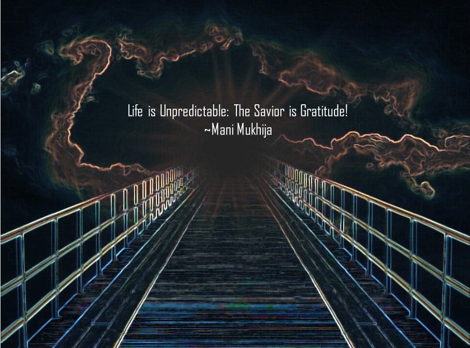 Life is Unpredictable: The Savior is Gratitude!,How to deal with unpredictability