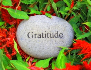 Life is Unpredictable: The Savior is Gratitude!,How to deal with unpredictability