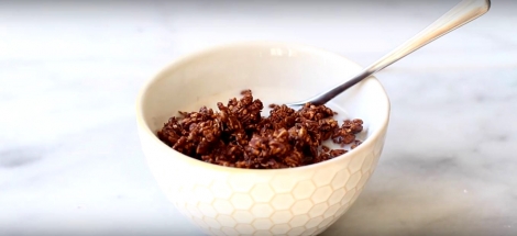 Dark Chocolate and Oat Clusters